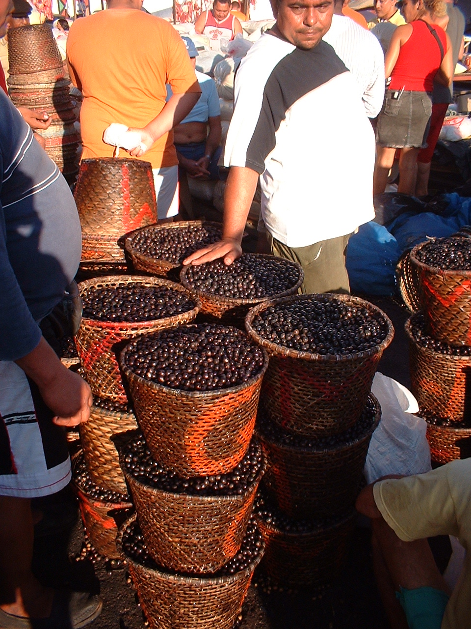 Acai - Açaí (palm berries) for sale at Ver-o-Peso market,  Belém, Pará, Brazil