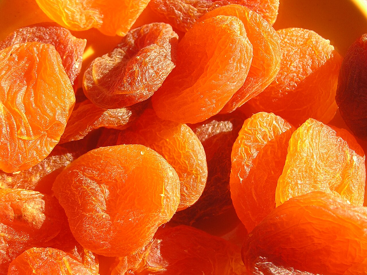 Apricot - dried apricots