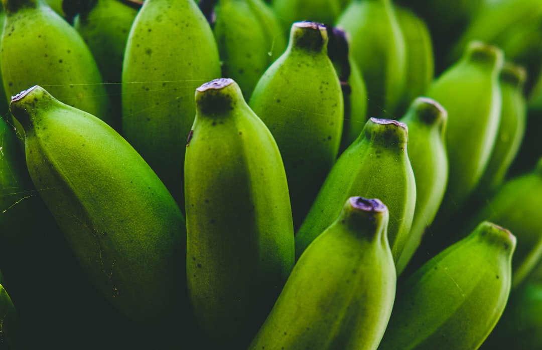 Banana - shallow focus photo of green bananas