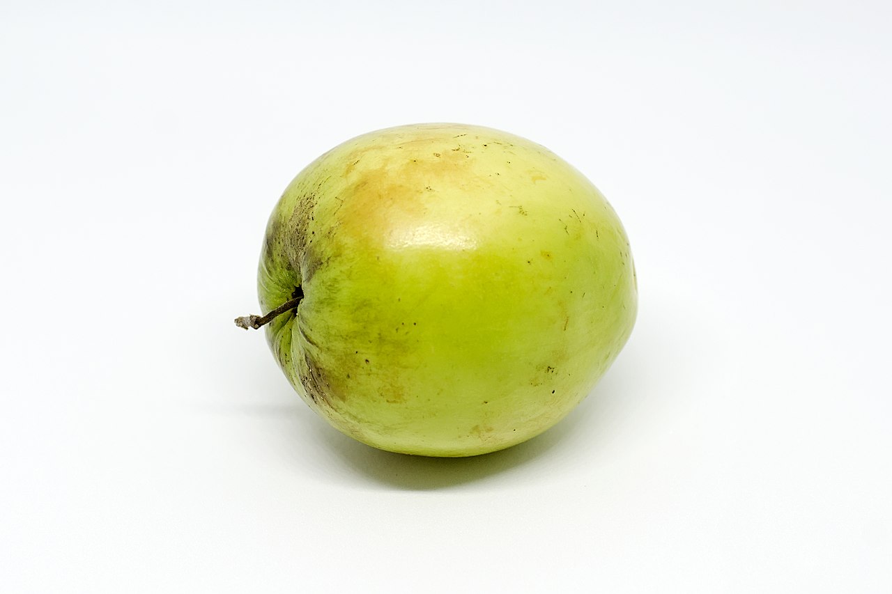 Ber - Indian jujube (fruit)