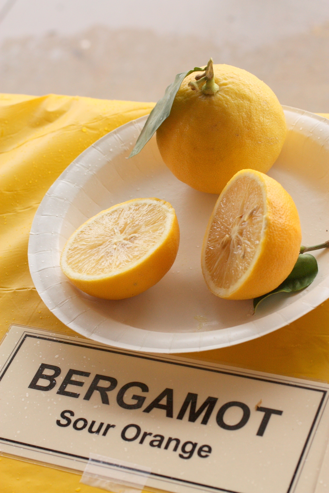 Bergamot - Undeterred by failure (or restraint/common sense), I continued with my marmalading. Next was the bergamot marmalade. Bergamot, as noted in the citrus clinic slideshow, is the source of the floral, citrus notes in Earl Grey tea. It is not, however, a fruit used fresh very often due to its 