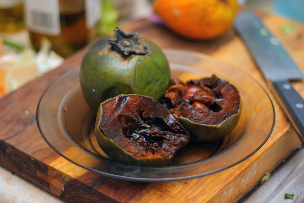 Black Sapote - Diospyros digyna (Black sapote)