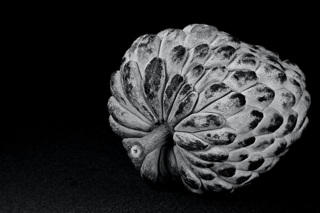 Cherimoya - a black and white photo of a flower head