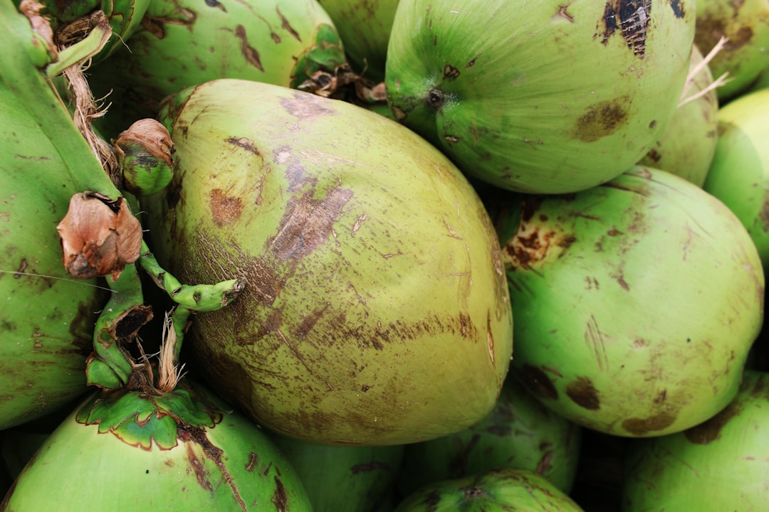 Coconut - Pile of fresh green coconuts