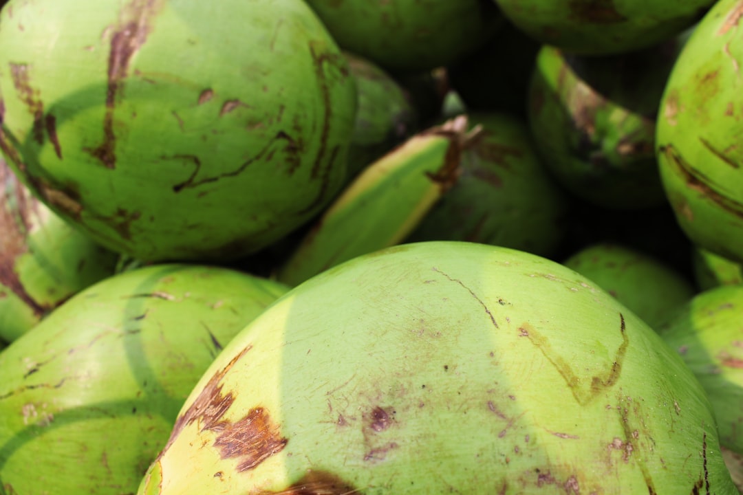 Coconut - Heap of fresh green coconuts piled together