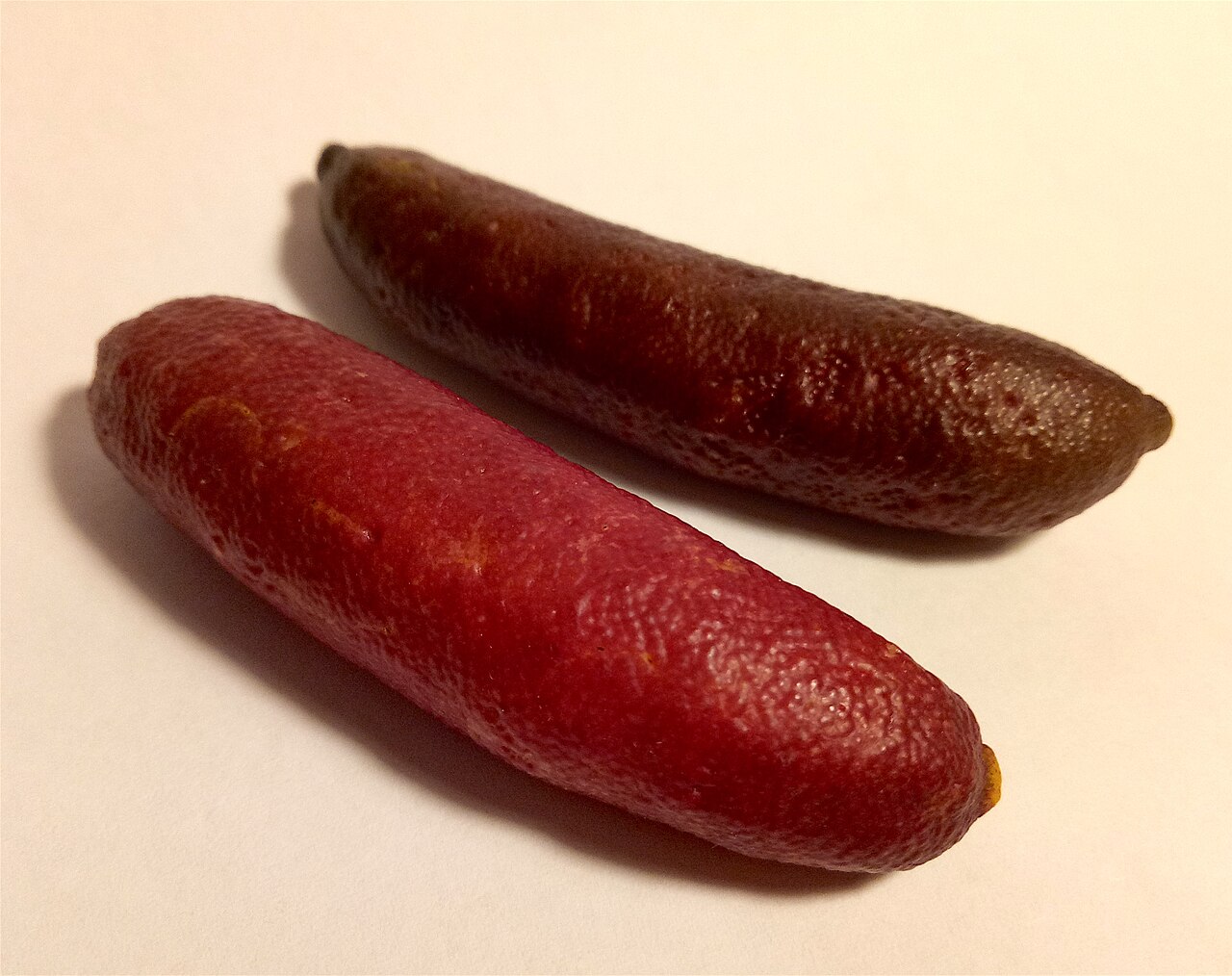 Finger Lime - Two Australian finger limes.