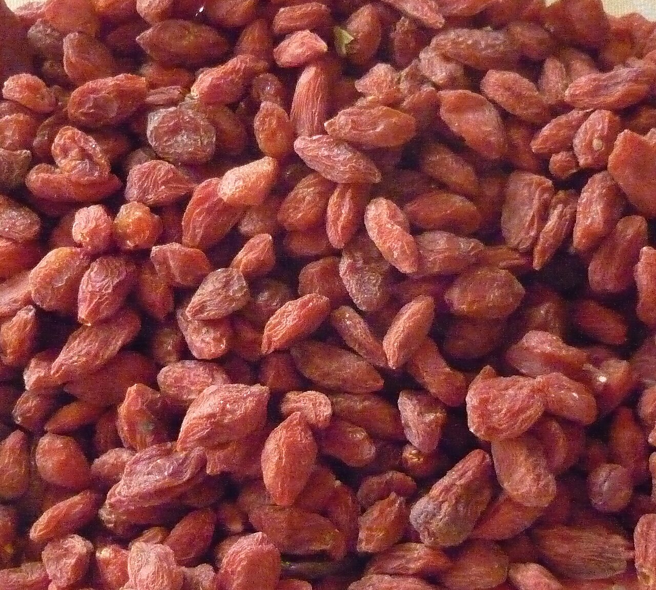 Goji Berry - gedroogde Goji bessen