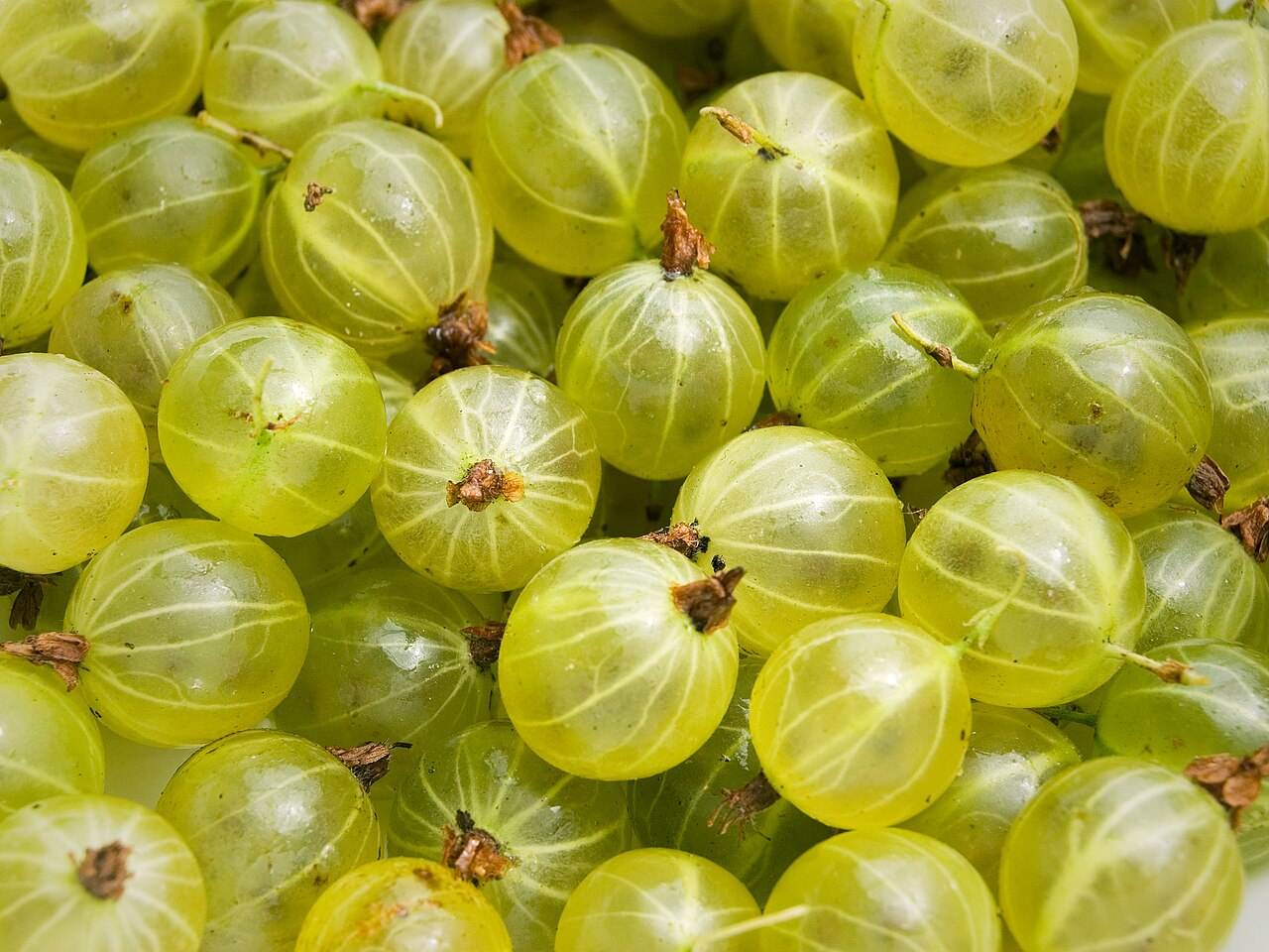 Gooseberry - Green gooseberries.