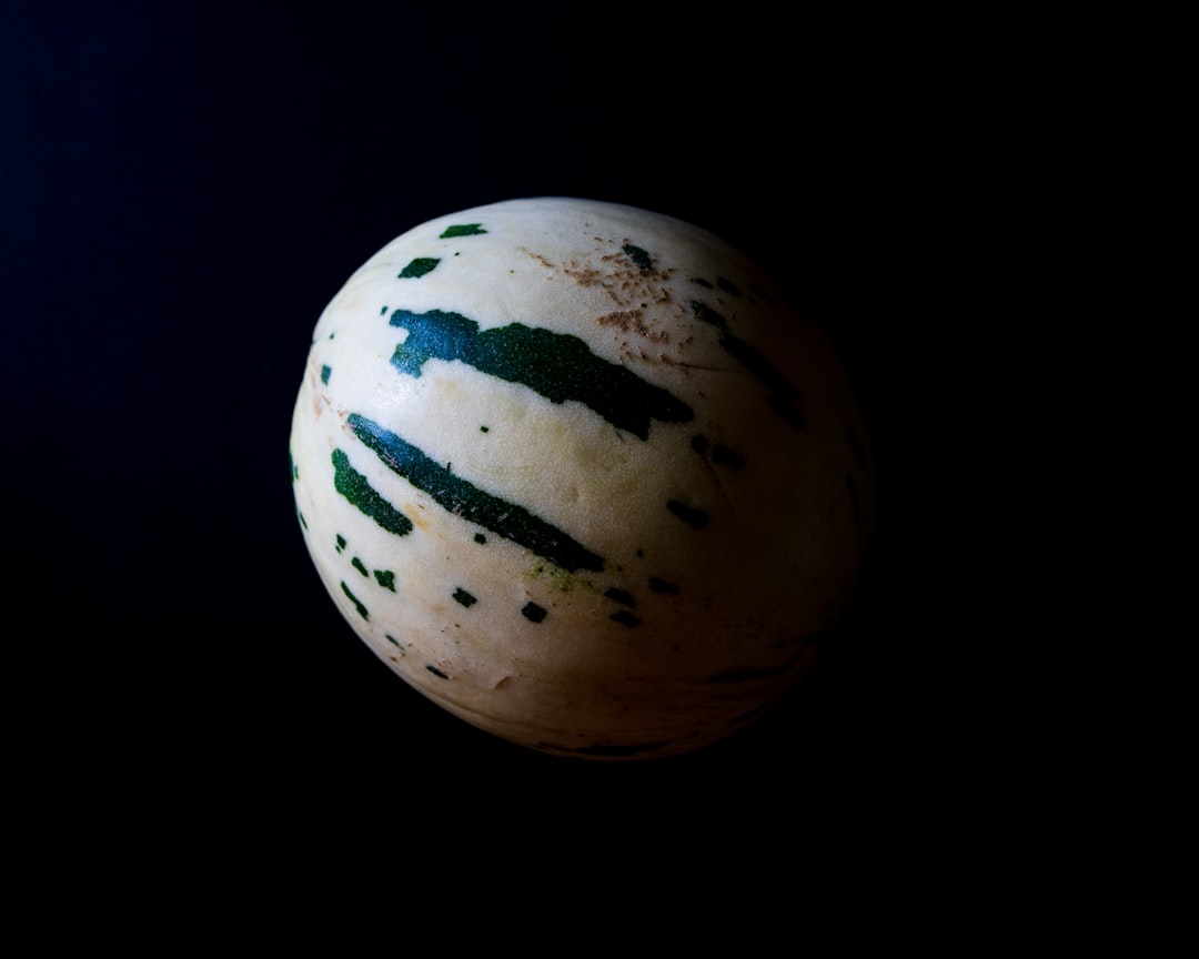 Honeydew - A striped melon on a black background