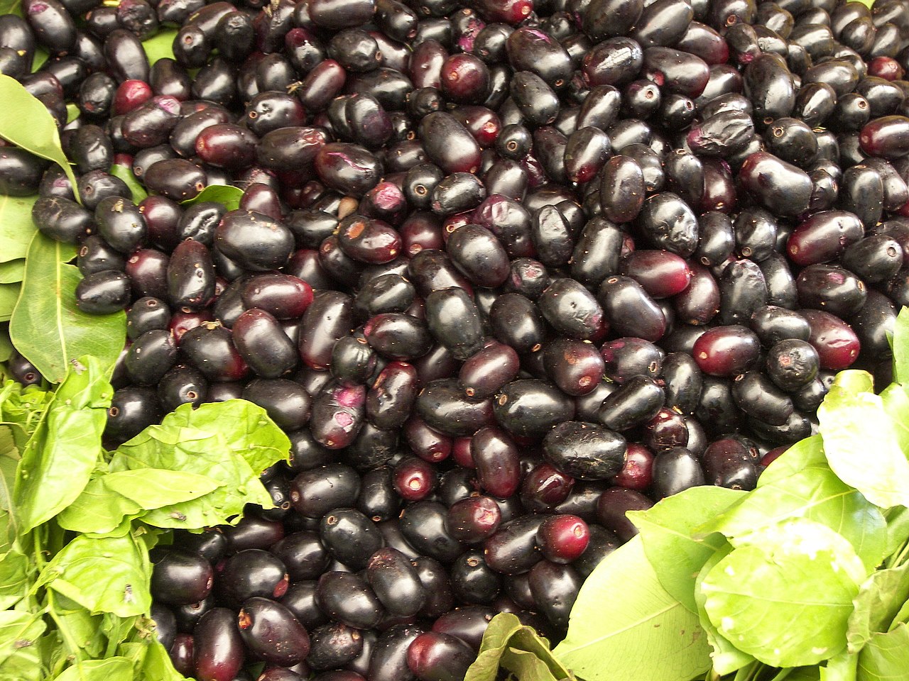 Jamun - Rajesh Dangi, Bangalore, HAL market, Jun 2007, "Ripe Jamun fruits"