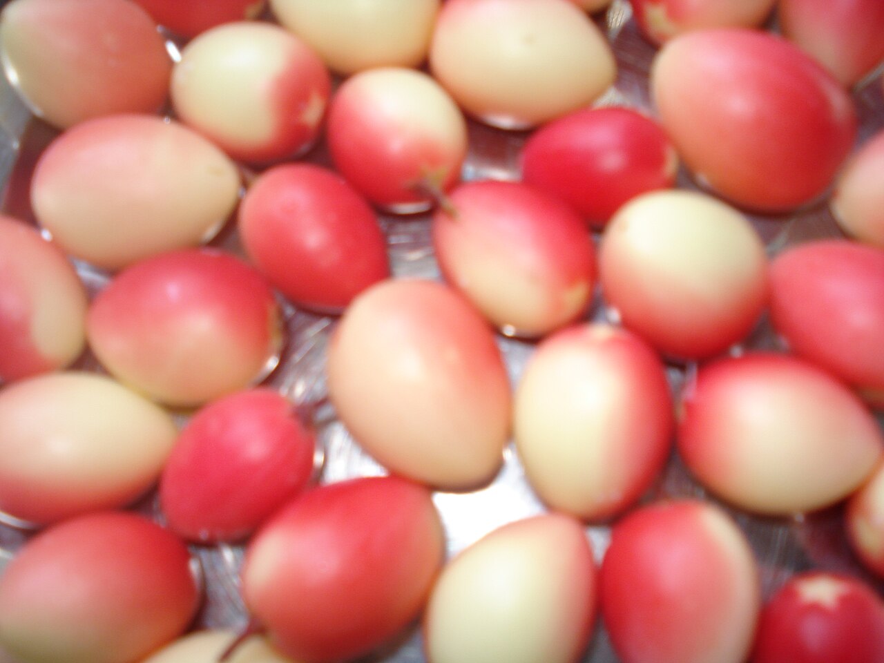 Karonda - Karonda fruit