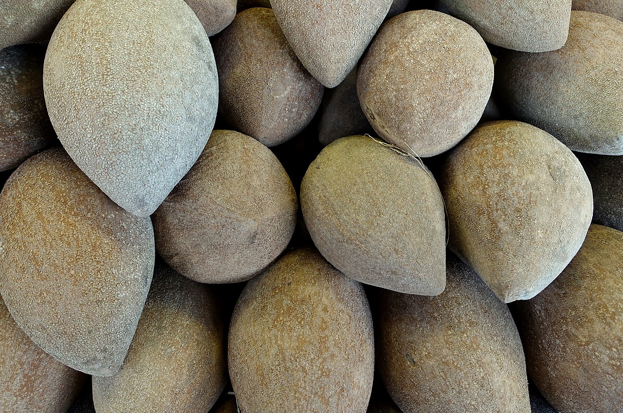 Mamey Sapote - Pouteria sapota (mamey sapote) at the market.