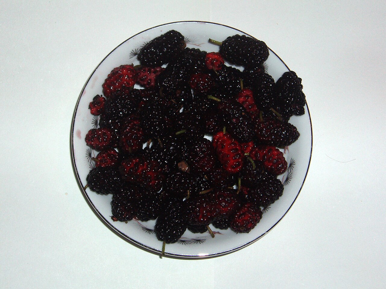 Mulberry - Mulberries