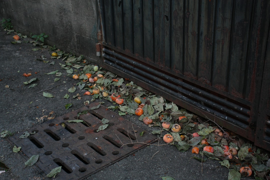 Persimmon - brown wooden door with dried leaves on the ground