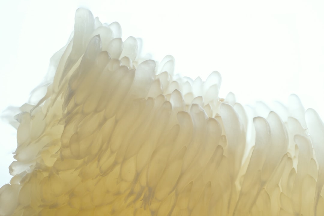 Pomelo - white and beige icicles