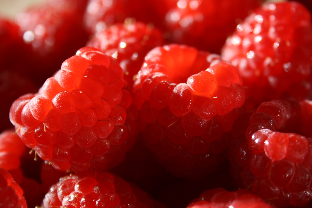 Raspberry - A close up of a bunch of raspberries