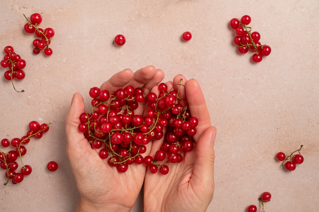 Red Currant - a person holding a bunch of red berries