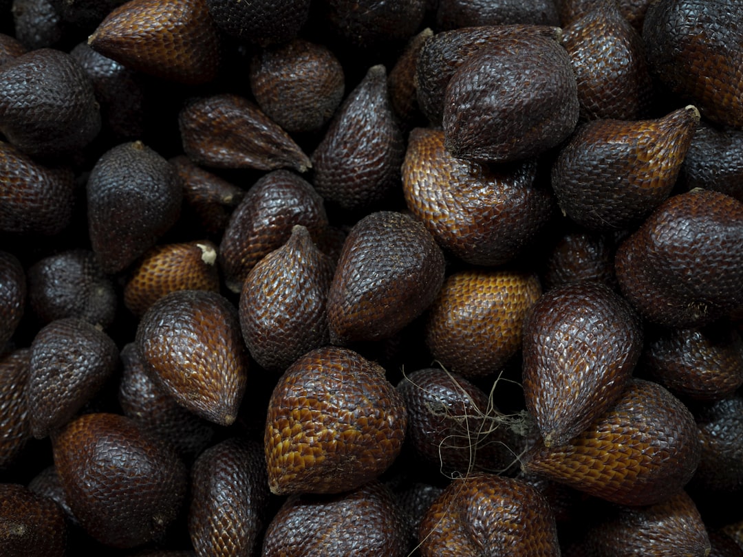 Salak - A close up of a pile of nuts