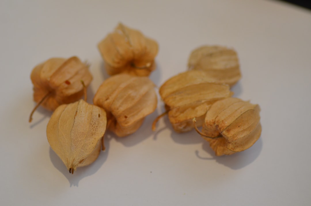 Sour Cherry - Several dried golden berries on a white surface.