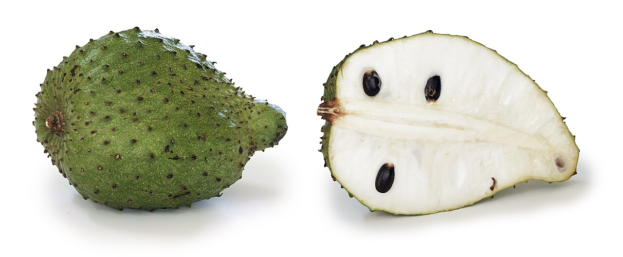 Soursop - Soursop, scientific name Annona muricata and cross section. Length app 20cm, width app 10cm