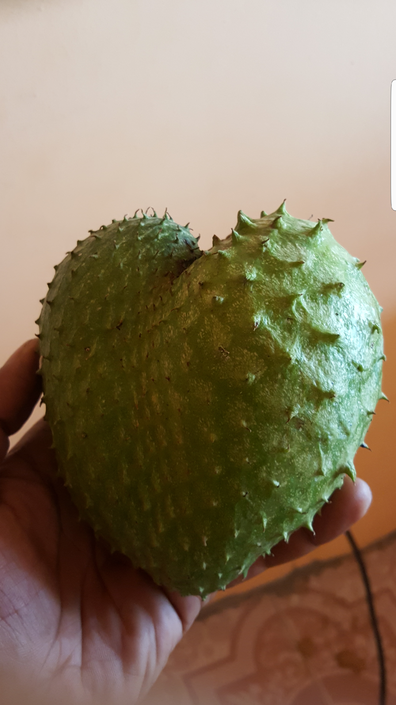 Soursop - Fruit having the shape of a heart. To identify.