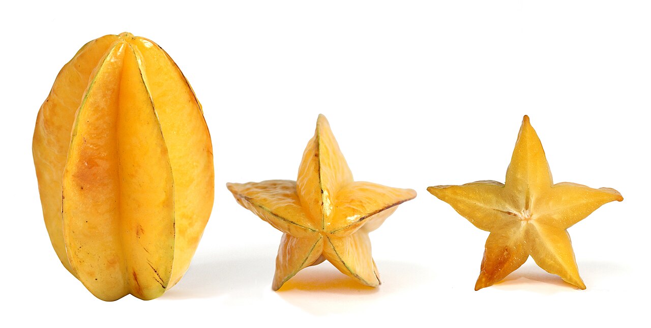 Star Fruit - Ripe Carambolas, also known as starfruit, the fruit of Averrhoa carambola tree: vertical, side and cross section profiles. The fruit in cross section is a five-pointed star, hence its name.