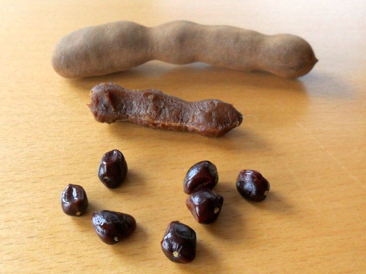Tamarind - Tamarind: pod, pulp and seeds