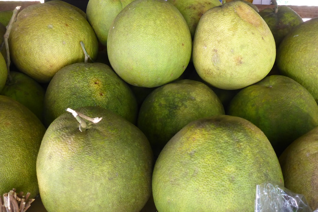 White Sapote - A pile of green mangoes sitting on top of each other