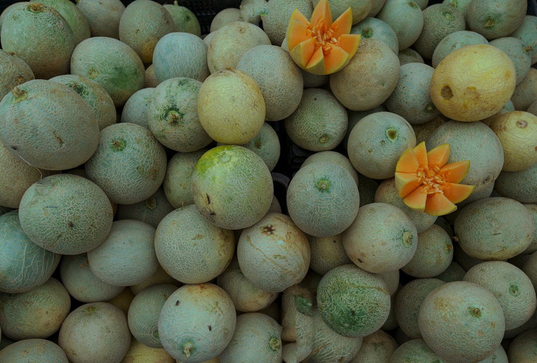 White Sapote - yellow round fruits on black plastic crate